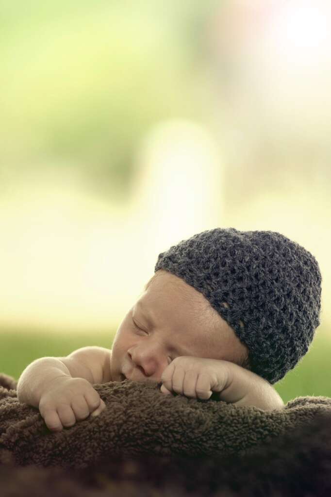 Cada adopción es un acto de amor que cambia vidas.
